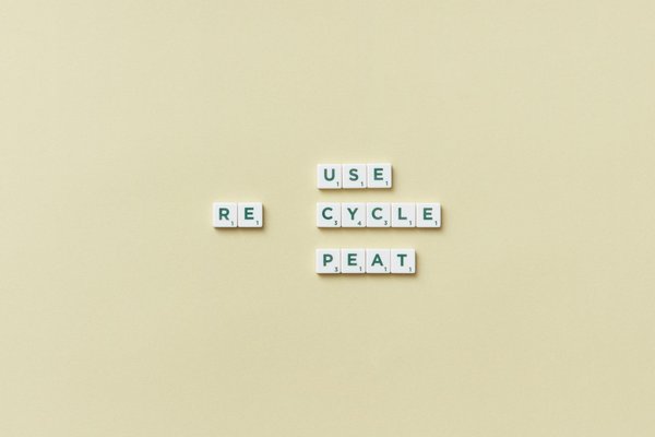 Cosmétiques végétaliens : protéger votre peau et la planète